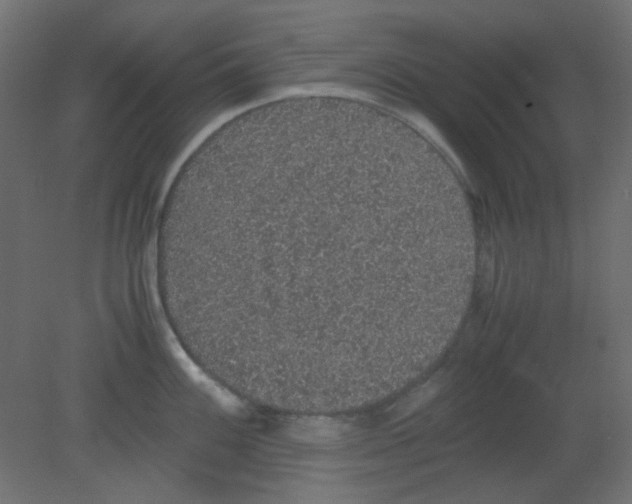 X0000080731100200701121904