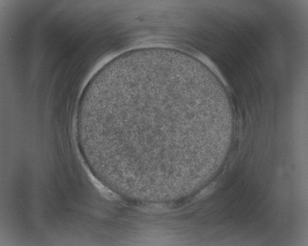 X0000080731101200701121904