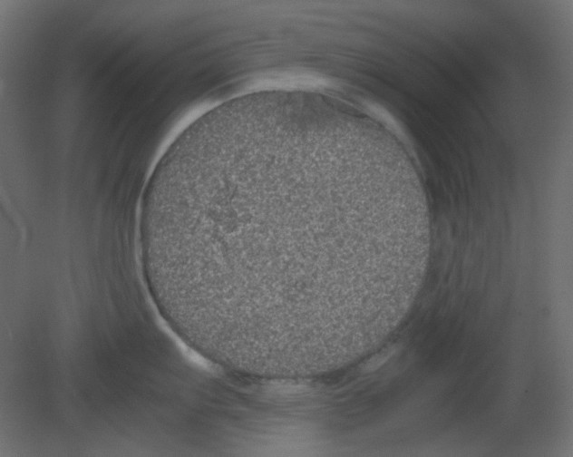 X0000080731103200701121904