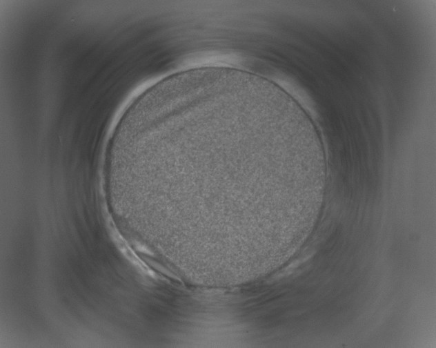 X0000080731104200701121904