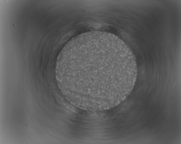 X0000080731105200701121903