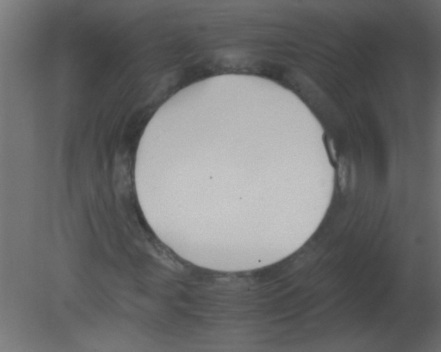 X0000080731107200701121903