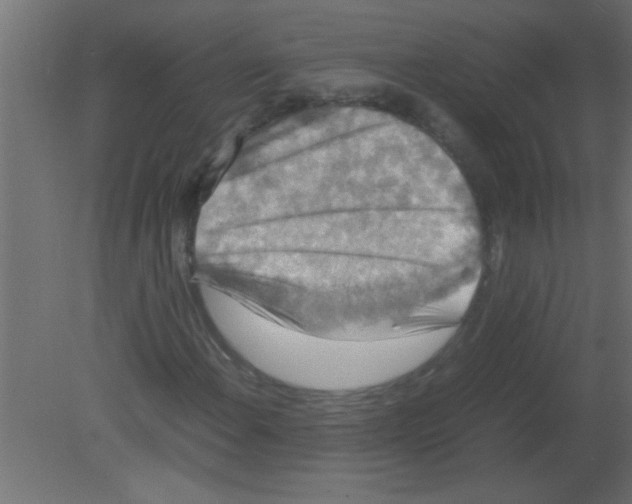 X0000080731108200701121903