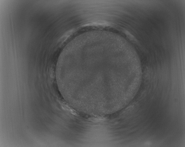 X0000080731110200701121903