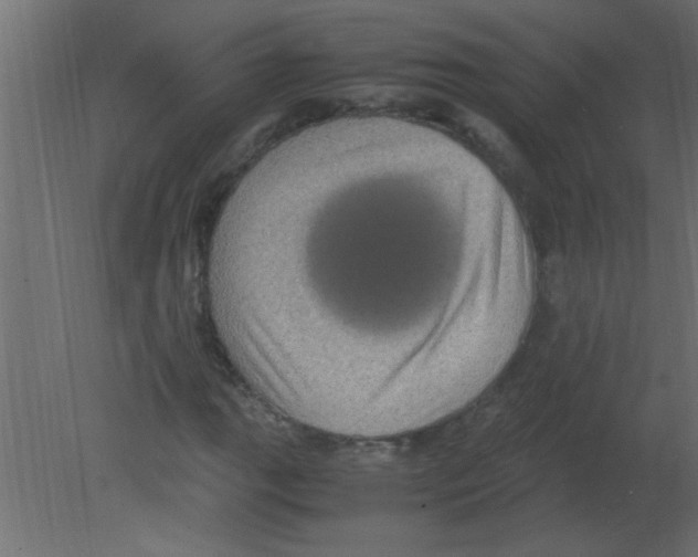 X0000080731111200701121903