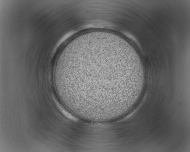 X0000080731114200701121903