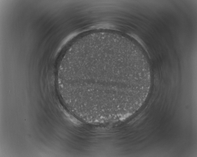 X0000080731115200701121903