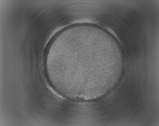 X0000080731116200701121903