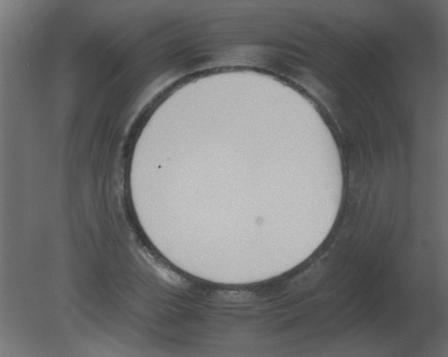 X0000080731119200701121903