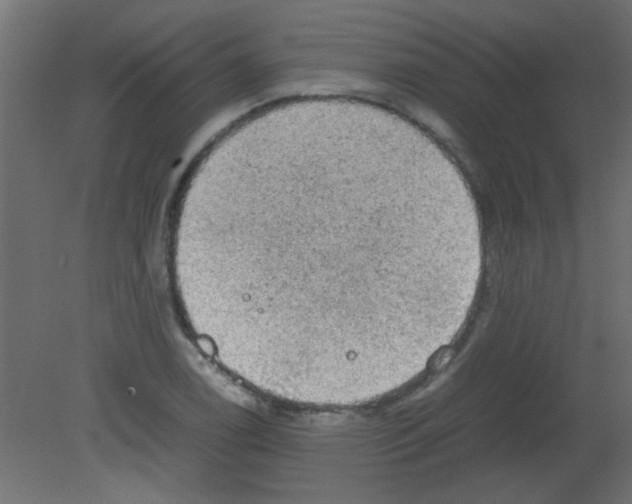 X0000080731122200701121903