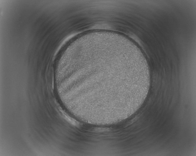 X0000080731123200701121903