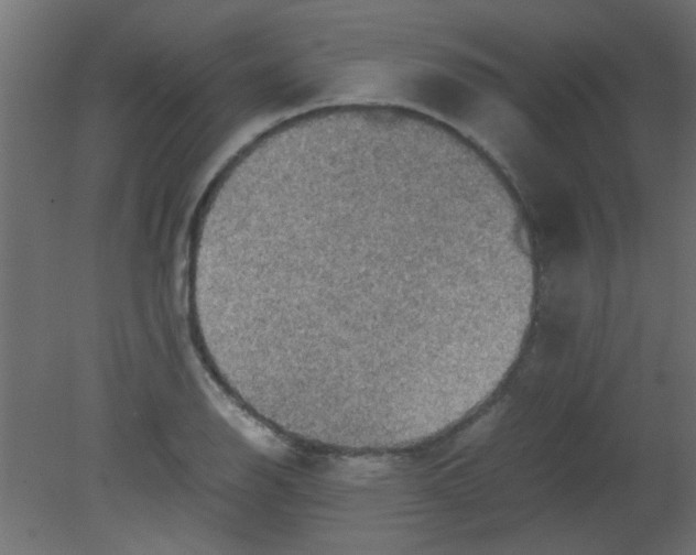 X0000080731126200701121903