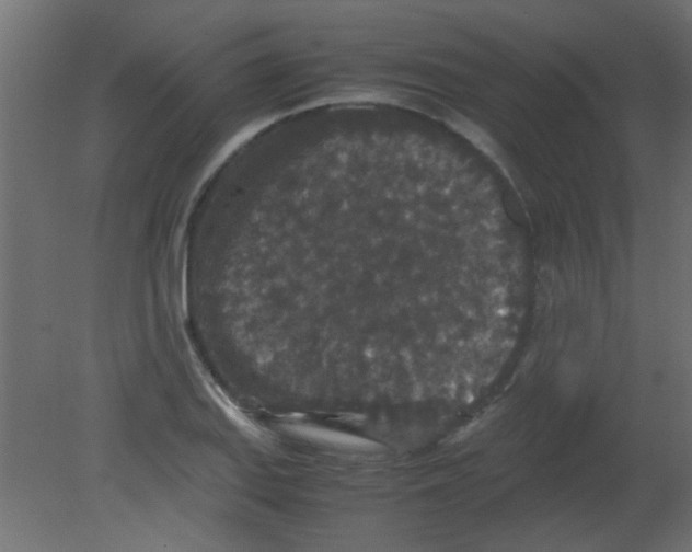 X0000080731127200701121903