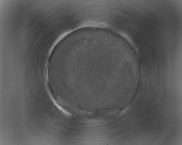 X0000080731128200701121903