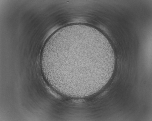 X0000080731129200701121903