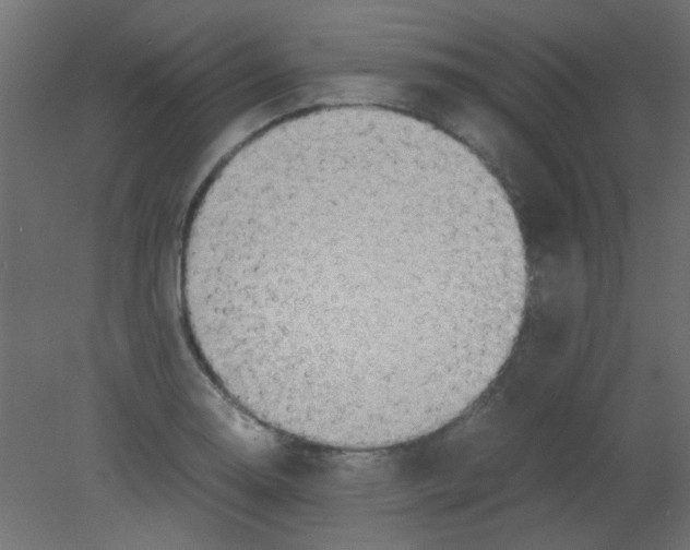 X0000080731130200701121903