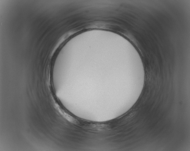 X0000080731131200701121903