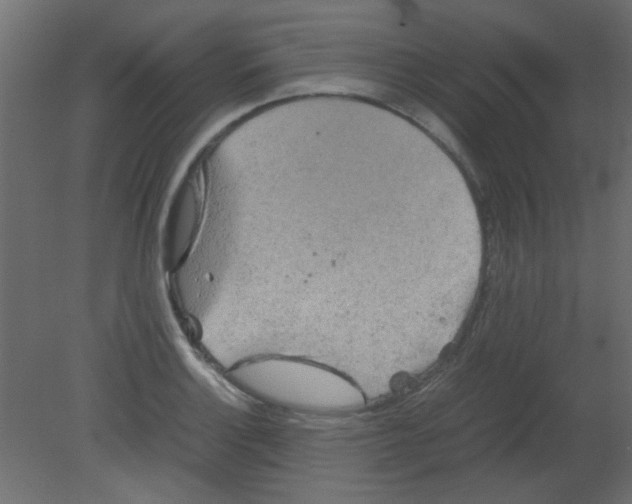 X0000080731132200701121903