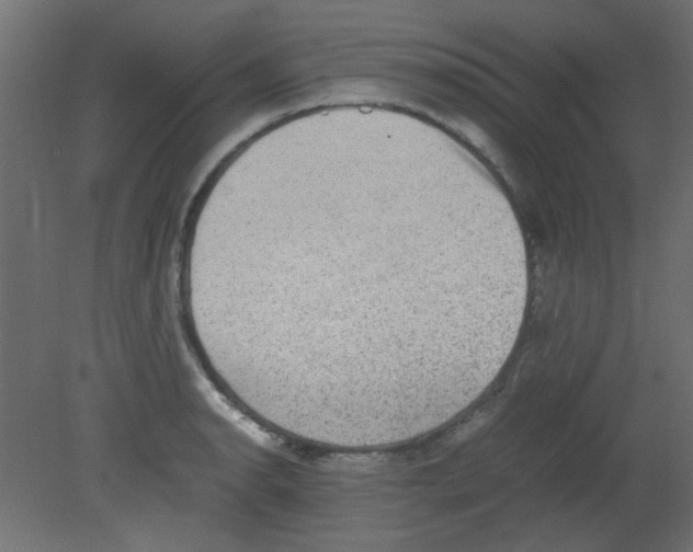 X0000080731134200701121903