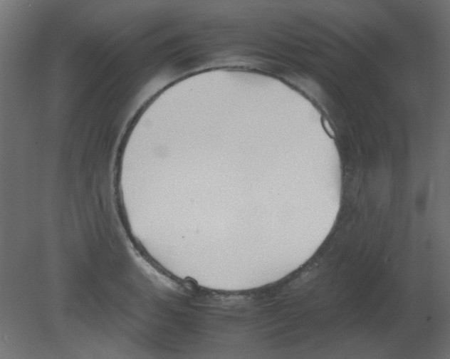 X0000080731135200701121903