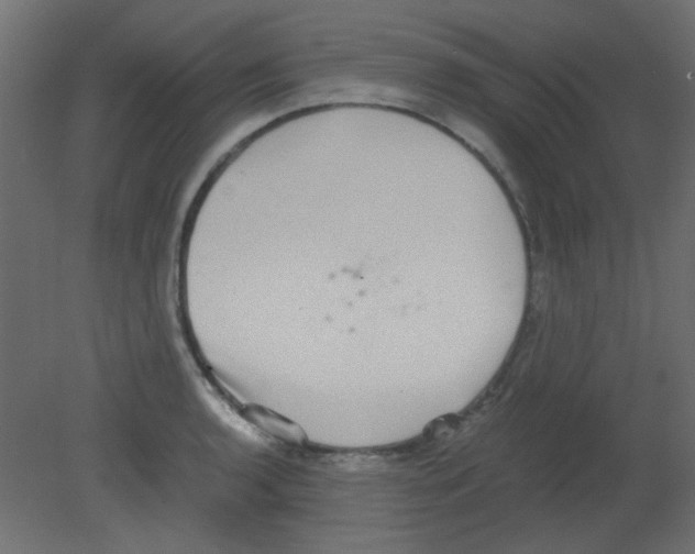 X0000080731136200701121903