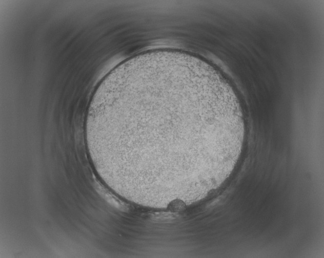 X0000080731137200701121903