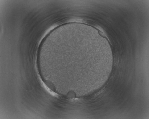 X0000080731139200701121903