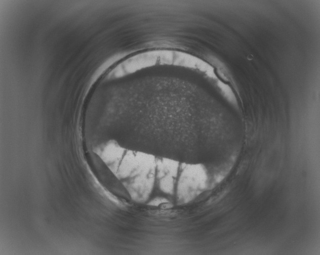 X0000080731141200701121904