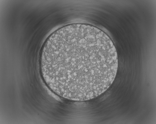 X0000080731142200701121904