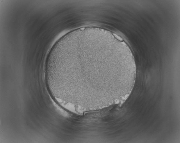 X0000080731143200701121904