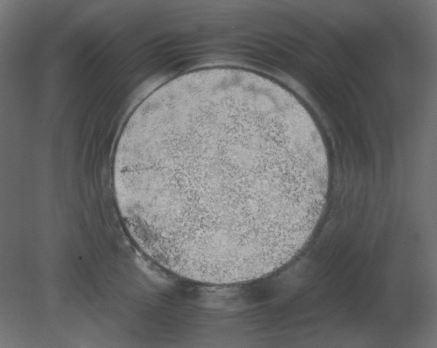 X0000080731145200701121904