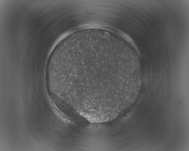 X0000080731146200701121904