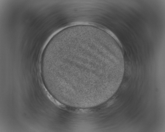 X0000080731148200701121904