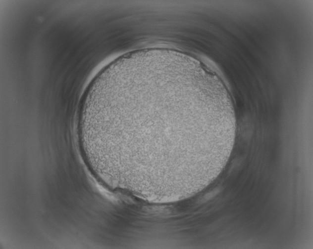 X0000080731149200701121904