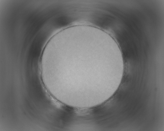 X0000080731150200701121904