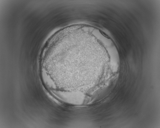 X0000080731151200701121904