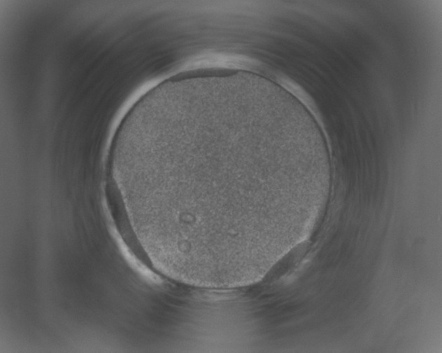 X0000080731152200701121904