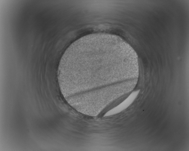 X0000080731153200701121903