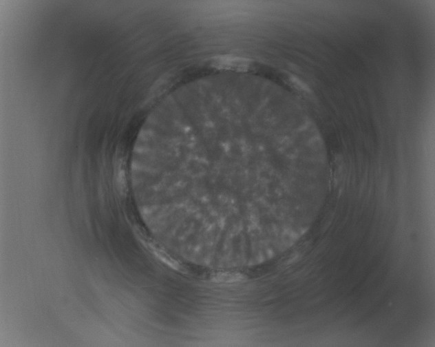 X0000080731154200701121903