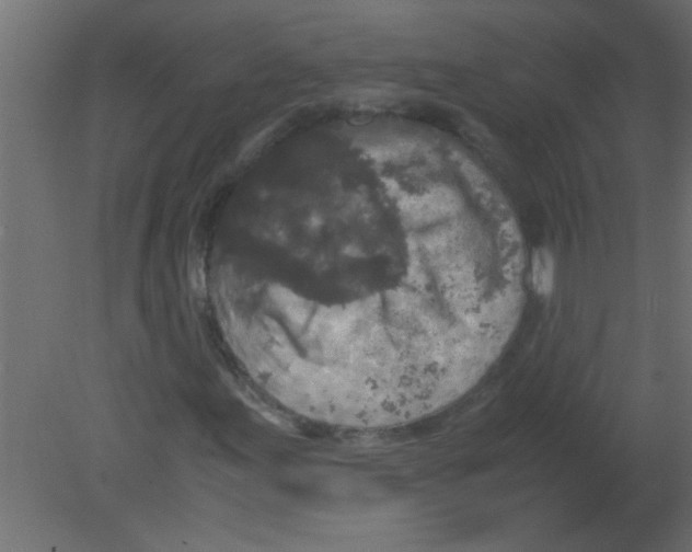 X0000080731155200701121903