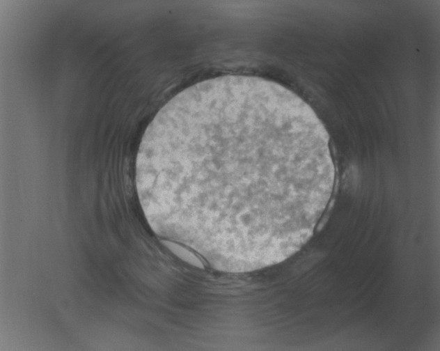 X0000080731156200701121903