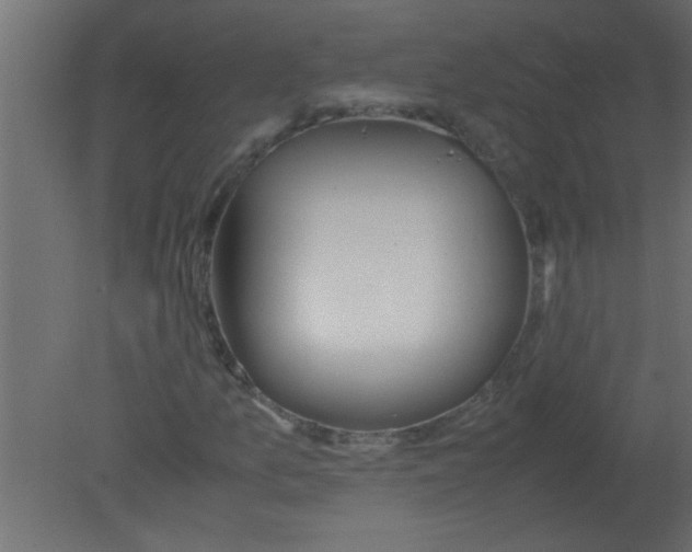 X0000080731157200701121903