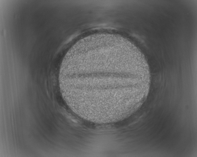 X0000080731159200701121903