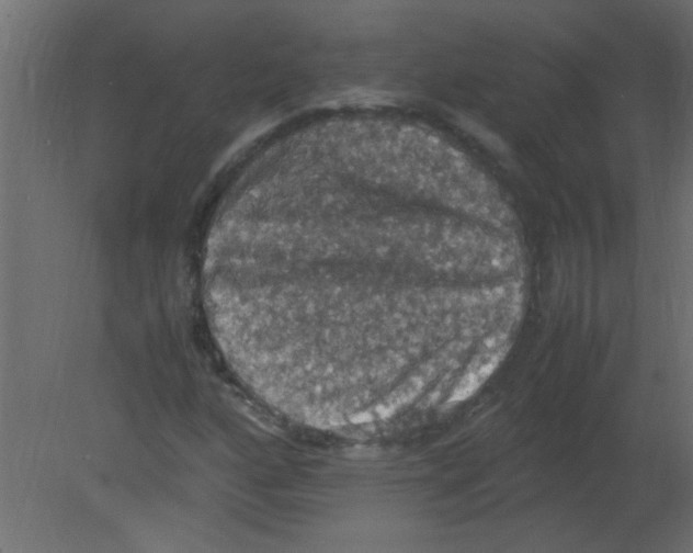 X0000080731160200701121903