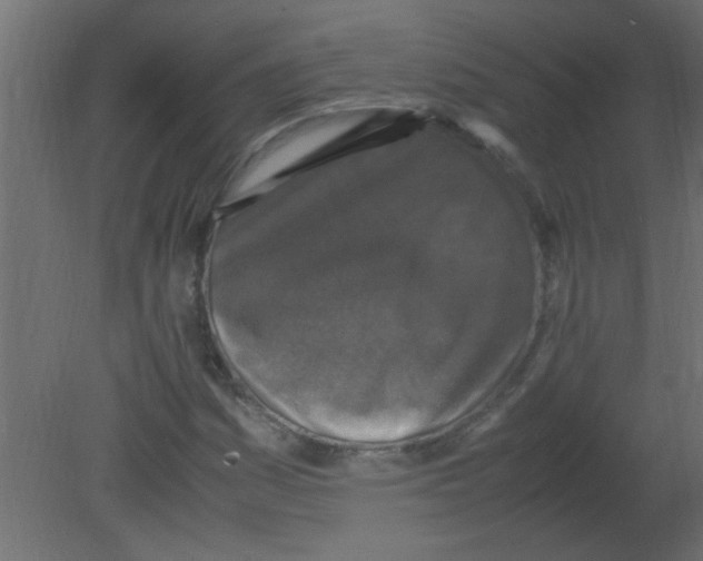 X0000080731161200701121903