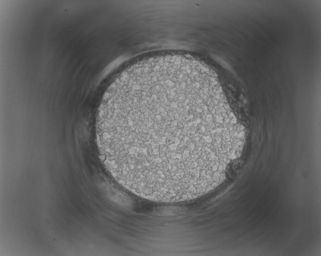 X0000080731163200701121903