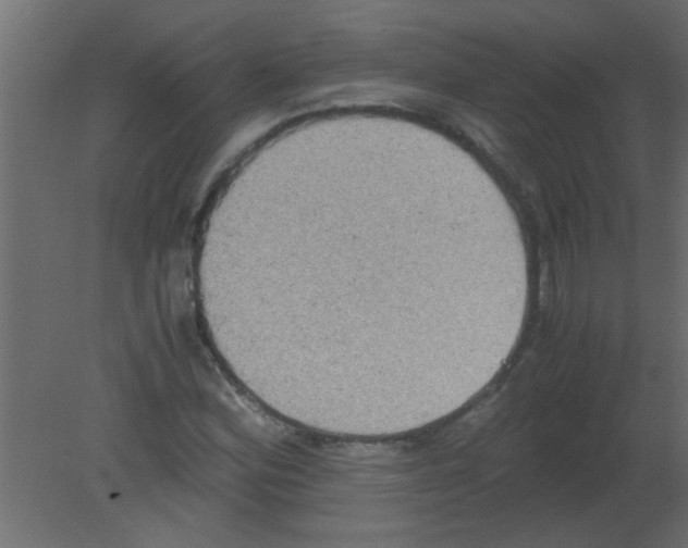 X0000080731164200701121903