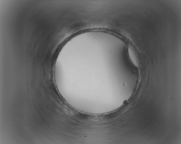 X0000080731165200701121903