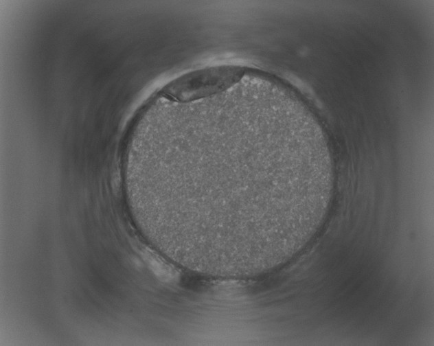 X0000080731167200701121903