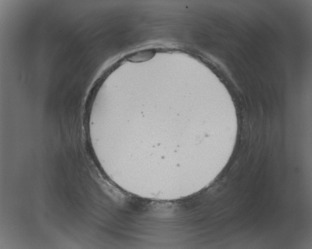 X0000080731168200701121903